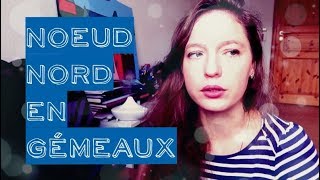 Nœud Nord en Gémeaux ❃ Nœud Sud en Sagittaire