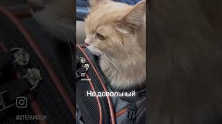 Ну скоро наш поезд?