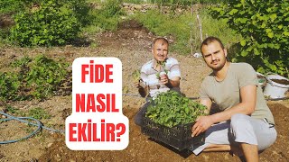 İLKBAHAR GELDİ FİDE EKME ZAMANI | Samsun'da bahçemize biber, domates ve salatalık ektik