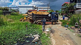 Start a new project!! Filling Land by Bulldozer KOMAT'SU D20A pushing soil with 5ton Trucks