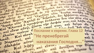 Послание к Евреям. Глава 12. "Не пренебрегай наказания Господня..."