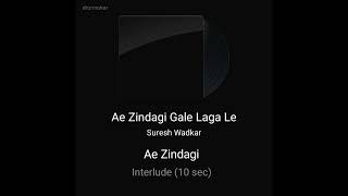 Ae zindagi gale laga le (Suresh Wadkar-Sadma)