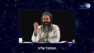 קליפ - התורה הופכת אותך מבהמי ליהלום! [קרית גת 1999] - הרב אמנון יצחק