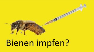 Faulbrutimpfung für Bienen?