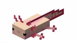 Minecraft Pet the axolotl 😳