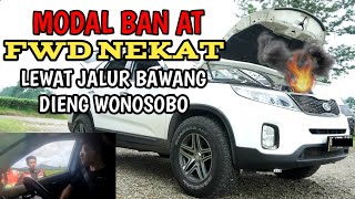 JALUR BAWANG DIENG WONOSOBO | Tanjakan menuju dieng wonosobo | INFO DIENG hari ini