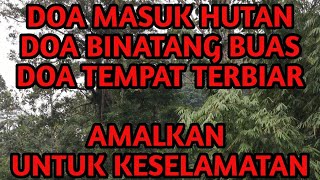 Doa Masuk Hutan Dan Binatang Buas Pendinding Diri (MULUT JGN CELUPAR)