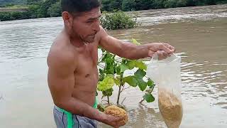 Tiramos unas hornillas en Río lempa estaba Enorme😱