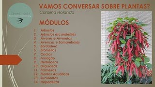 VAMOS CONVERSAR SOBRE PLANTAS? RESUMO DO CATÁLOGO DE PLANTAS.