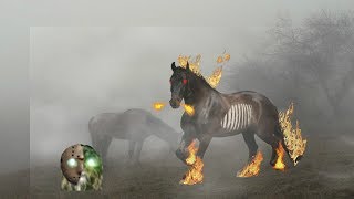 Strange Cryptid Horses