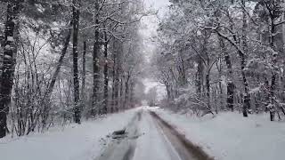 Sneeuw in het bos 20 januari 2023