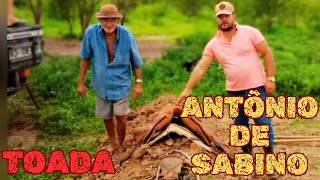 TOADA • SAUDOSO • ANTÔNIO DE SABINO • HOMENAGEM- FEAT: JM VAQUEIRO 🎶🌵🖤