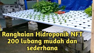 (Tiaramas Hidroponik #1) Review Hidroponik 200 lubang sederhana NFT menggunakan paralon 2.5"