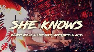 Dimitri Vegas & Like Mike, Afro Bros & Akon - She Knows 2020