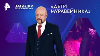 «Дети Муравейника» 19.08.2024