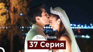 Зимородок 37 Cерия (Русский дубляж)