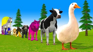 Paint & Animals Duck, Cow, Dog, Buffalo, Zebra Fountain Crossing Transformation Animal Cartoon #1