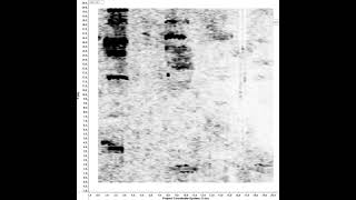 Cemetery Mapping with GPR