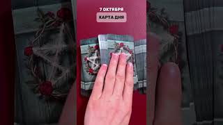 7 ОКТЯБРЯ, ПОНЕДЕЛЬНИК. Карта дня - Король пентаклей. #tarotube #tarot #таро #таролог #картадня