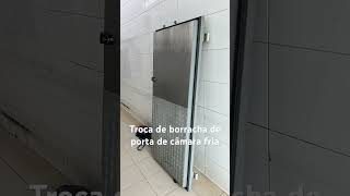 Borracha de porta