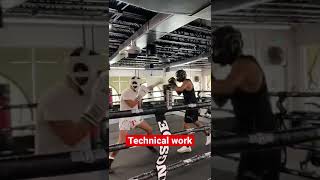 Technical sparring