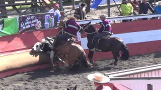 Rodeo de Vitacura, serie criadores