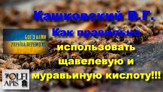 #Кашковский В.Г.  Как правильно использовать щавелевую и муравьиную кислоту