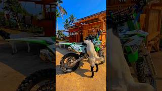 Kawasaki KLX🐐#shots #shortsfeed #viral #trending #ytshorts #youtubeshorts#kawasaki #bikelover