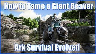 How To Tame a Giant Beaver - Ark Survival Evolved