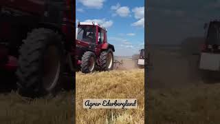 IHC 844 XL und Case IH 743 XL bei der Arbeit #2