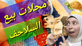 اسعار السلاحف وانواعها ٢٠٢١