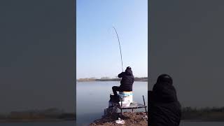 I caught the big fish🐟 Pond fishing🎣 Best fishing video #shorts #fishing 7