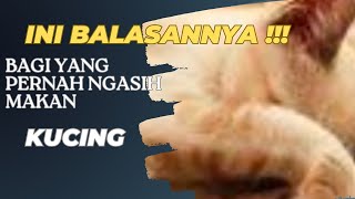 Ini balasannya bagi orang yang pernah ngasih makan bersama