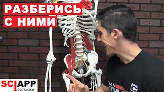 Что Сделать С Бедрами? Техника Улучшения Гибкости и Подвижности Бедер | Джефф Кавальер