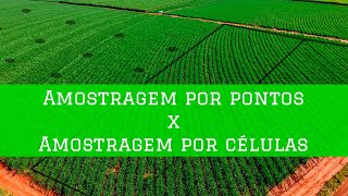 As diferenças entre amostragem georreferenciada de ponto e de célula