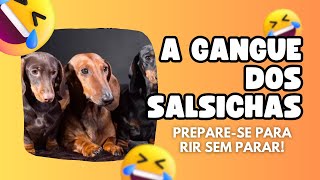 Cuidado Cleitinho! A gangue dos salsichas estão atrás de VOCÊ!! 😂😂