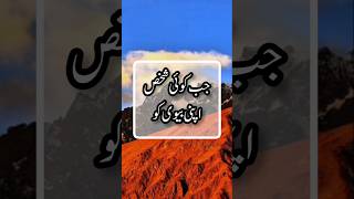 Hadith Of Prophet Muhammad PBUH | Hadees Sharif in Urdu | Jo Shakhs Apni Biwi #shorts #hadith #short