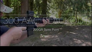 300 AAC Blackout 220GR Spire Point