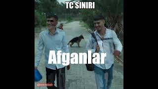 Afgan Multeciler