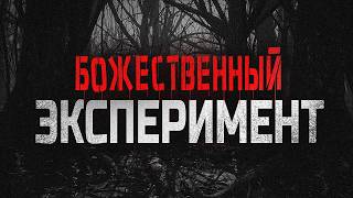 БОЖЕСТВЕННЫЙ ЭКСПЕРИМЕНТ. Жуткая история про группу людей. Триллер. Мистика