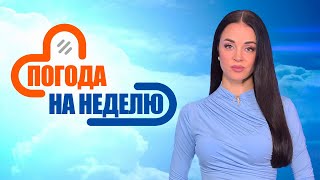 Тёплая середина осени без осадков! | Погода в Беларуси с 15 по 21 сентября | Плюс-минус