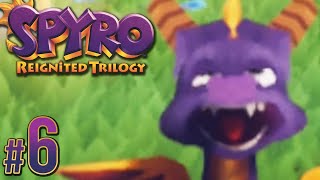 Spyro Reignited Trilogy (Nintendo Switch) - Skill Point Not Found | PART 6