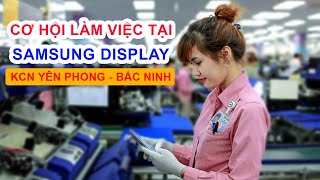 TUYỂN GẤP 500 LAO ĐỘNG LÀM TẠI SAMSUNG DISPLAY (SDV)