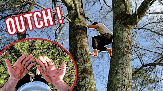 Je grimpe dans les arbres à mains nues et sans protection (méthode naturelle)