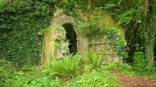 Exploring Military History in Cork - Ring Of Cork