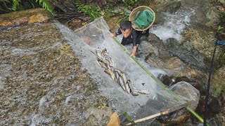 Catching fish, an orphan boy khai traps small fish in the water to sell Fish trapping techniques