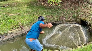 පුංචි ඇලේ මාළු Sri Lankan 🇱🇰 fishing