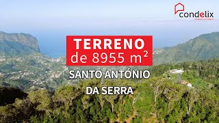 Terreno com 8955m2 - Santo António da Serra