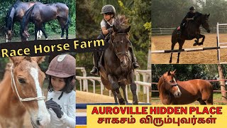 Race horse farm and training school Pondicherry | adventurous lovers  | Unexplored place