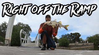 Fishing with Shrimp (Big Fish)